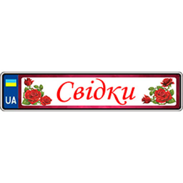 Наклейки на номерной знак "Свидетели" 2шт