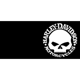 Чашка "Harley-Davidson" skull